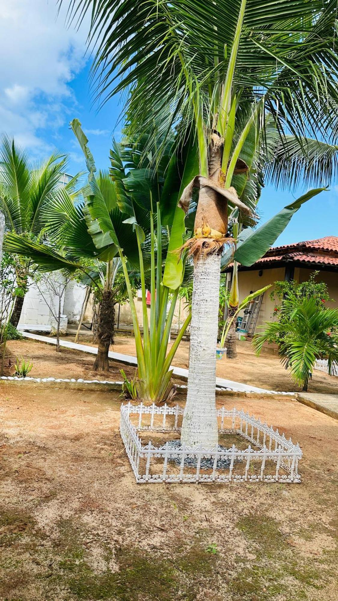 B&B Residencia Casa Branca Sítio Exterior foto